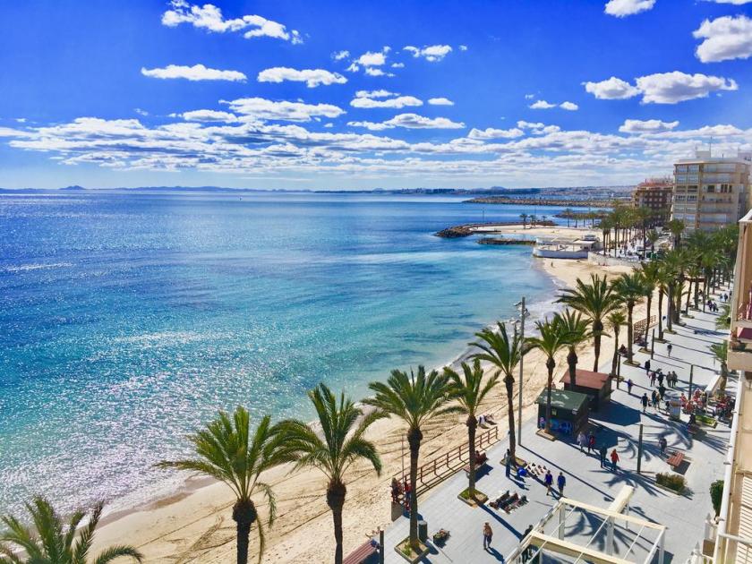 TorreviejaVidando Estates