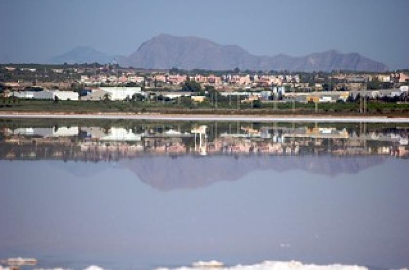 Los MontesinosVidando Estates