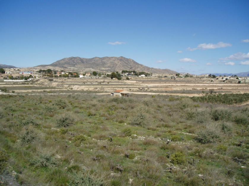 La RomanaVidando Estates