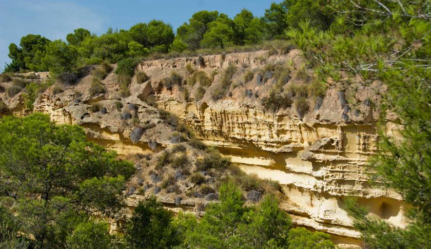 Pinar De CampoverdeVidando Estates