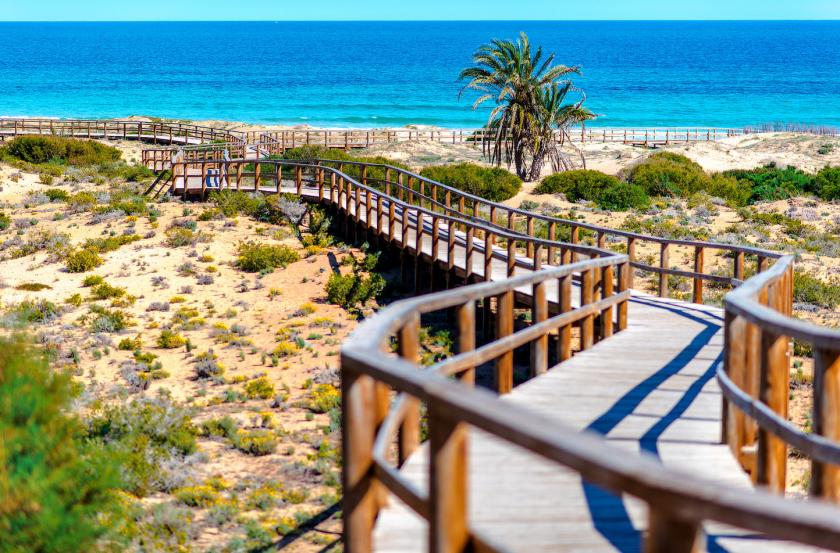 Gran AlacantVidando Estates
