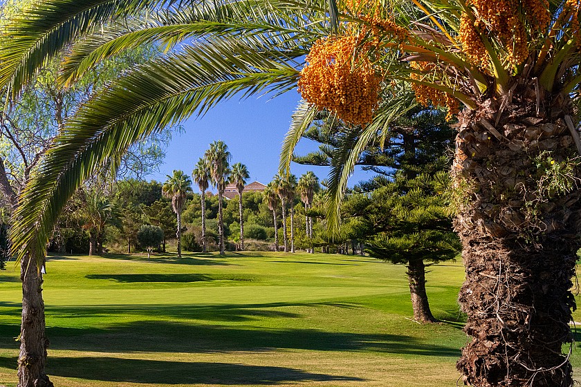 Bonalba Golf resort Mutxamel