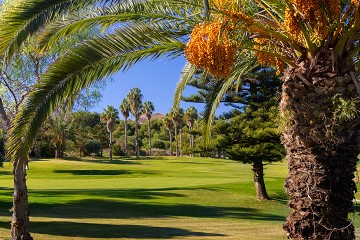 Bonalba Golf resort - Vidando Estates