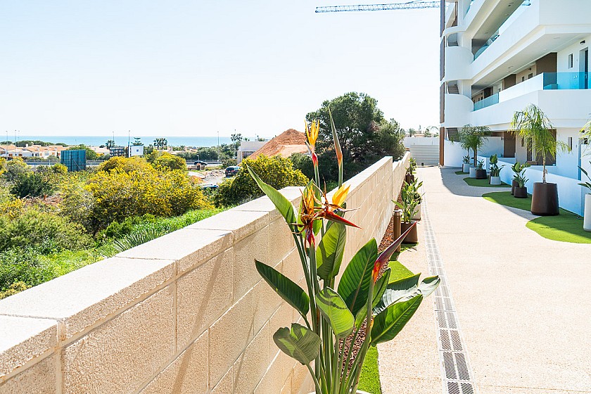 2 slaapkamer Appartement met terras in Playa Flamenca - Orihuela Costa - Vidando Estates
