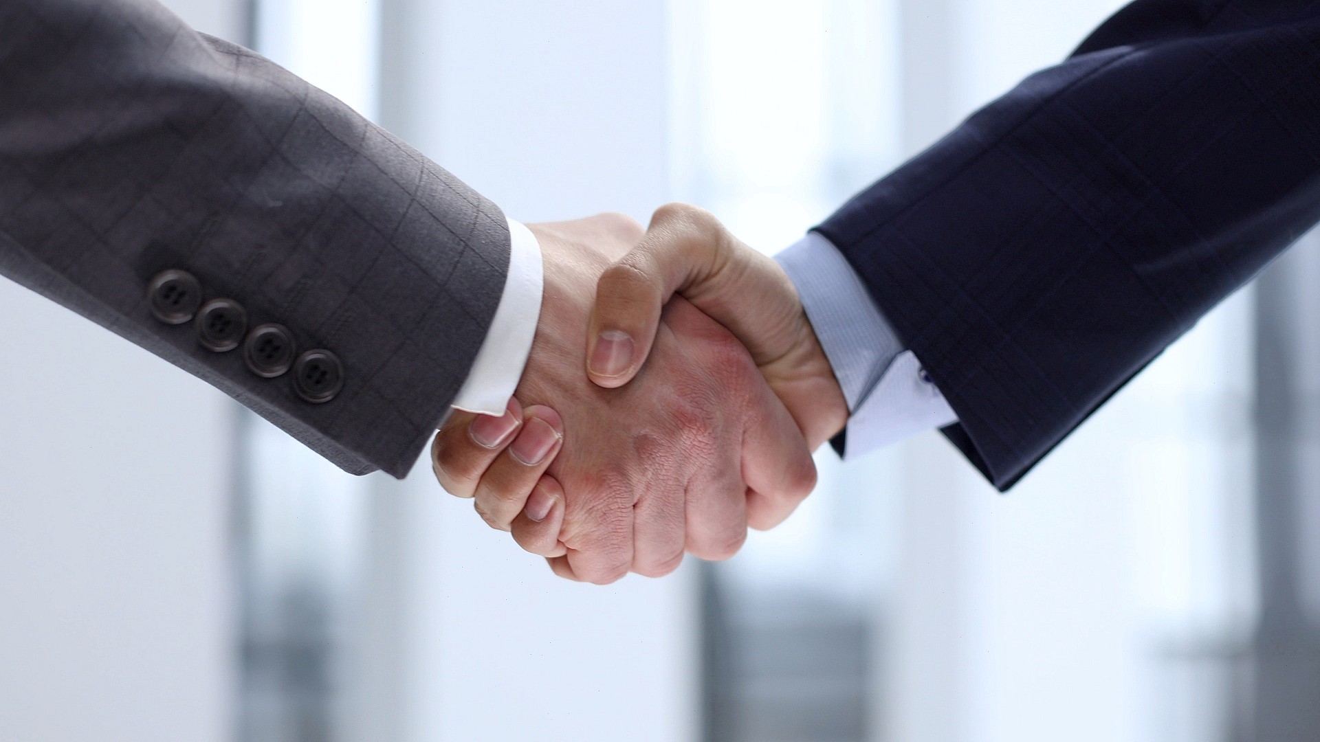 Meet our professional team