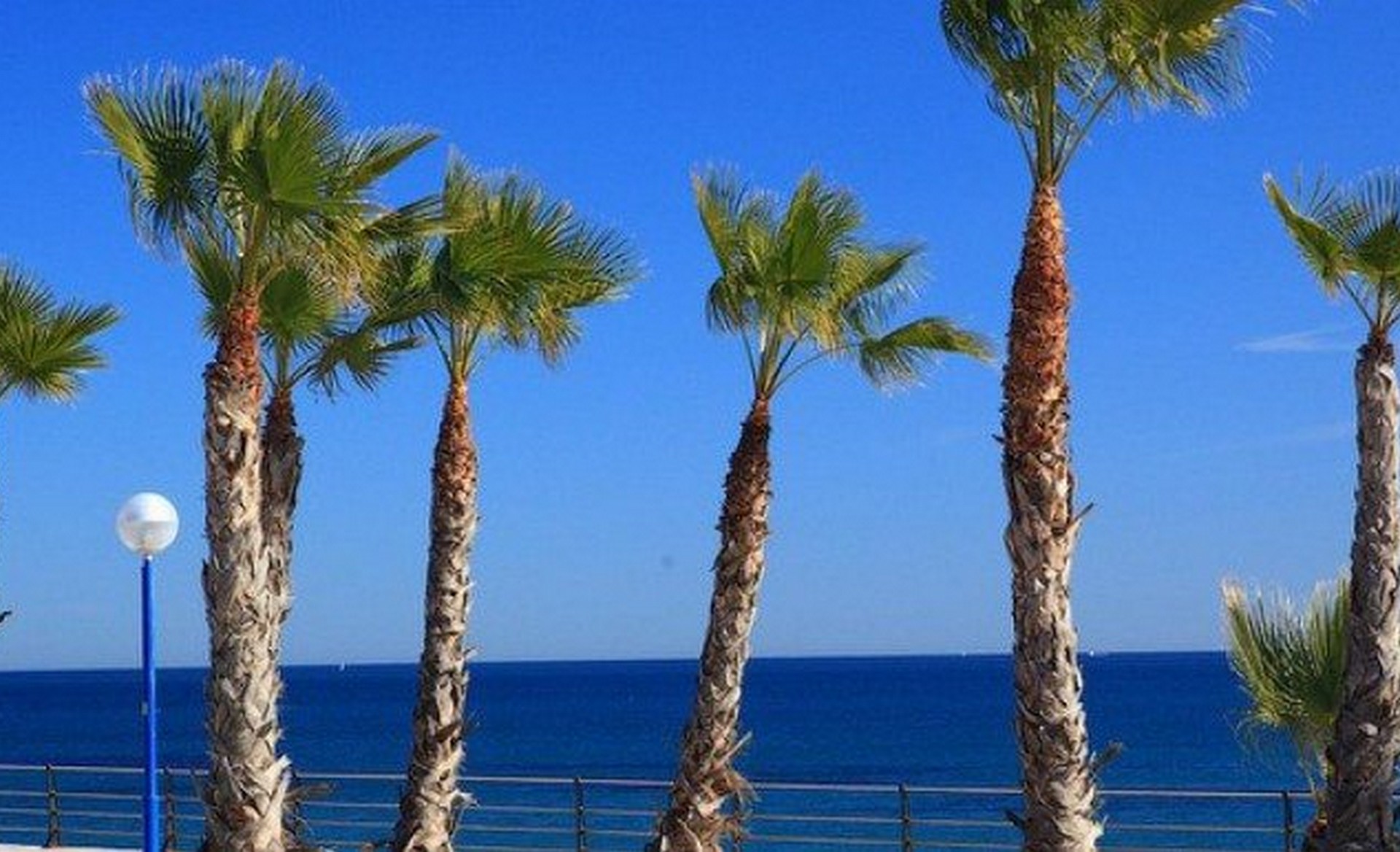 Playa Flamenca Playa Flamenca