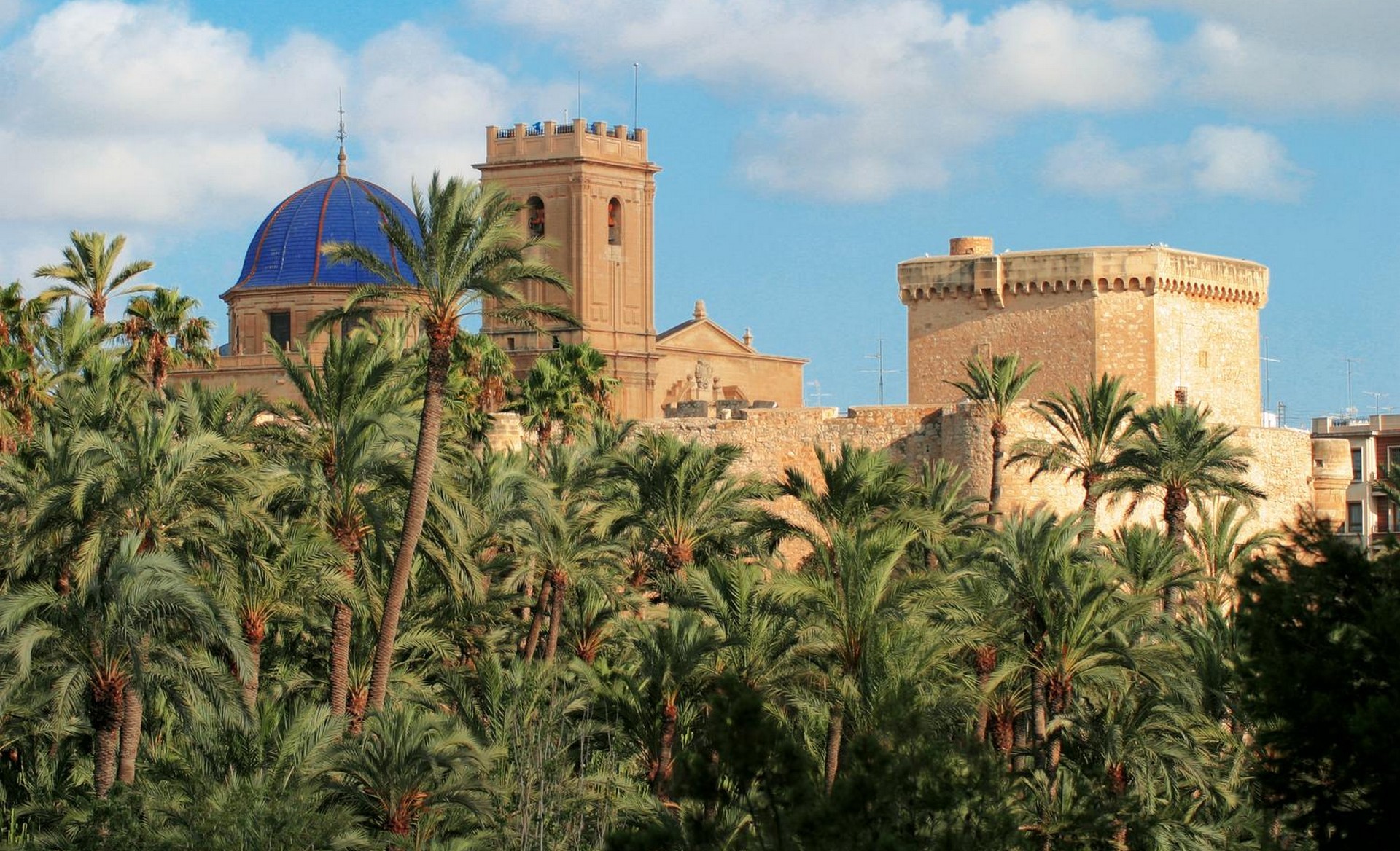 Elche Elche